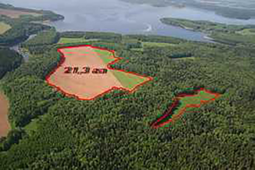 Судебная землеустроительная экспертиза