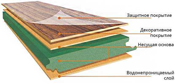 Экспертиза полов