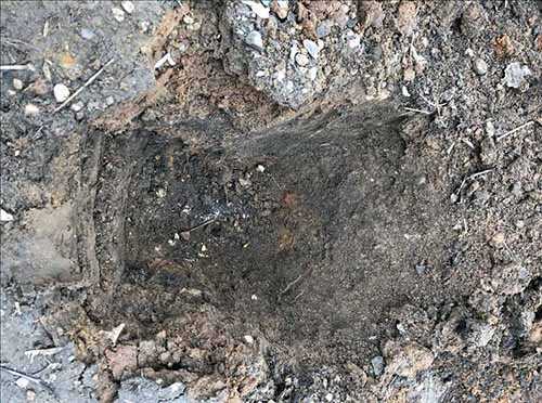 Дефекты Дефекты