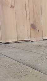 Дефекты Дефекты