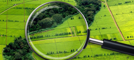 Землеустроительная экспертиза